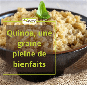 Quinoa, une graine pleine de bienfaits 